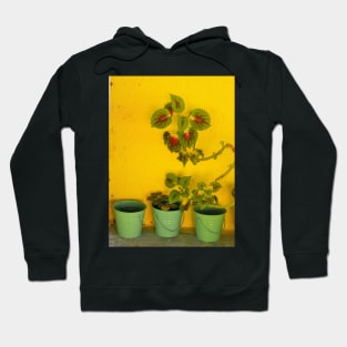 A Greek Garden Hoodie